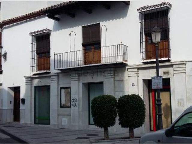 Local, Alhaurín el Grande