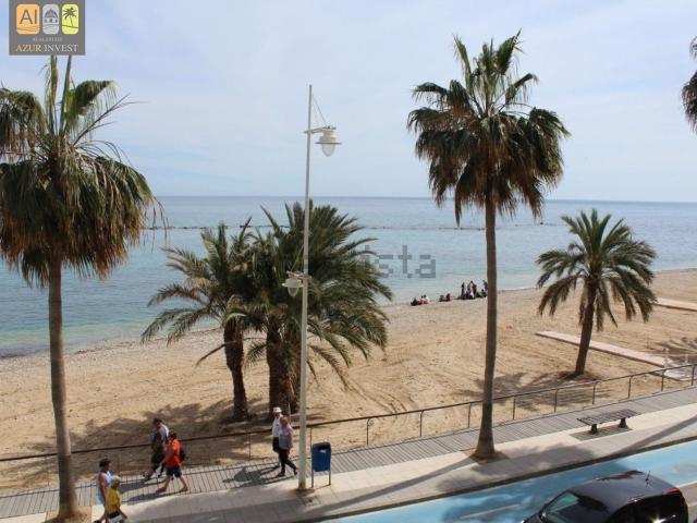 Local, Altea