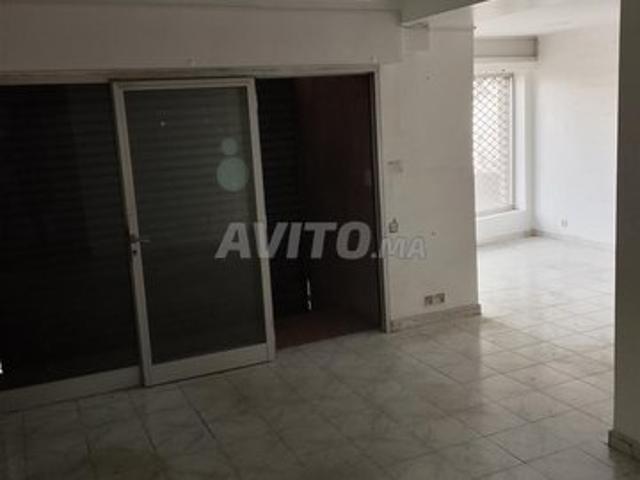 Local aménagé à palmier 52m2