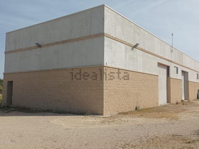Local, Amposta