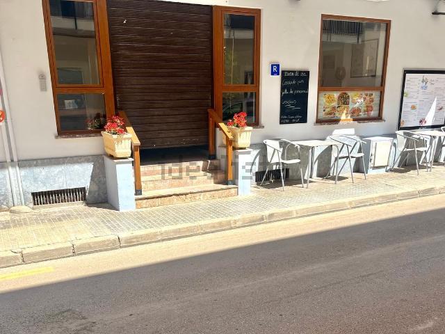 Local, Andratx
