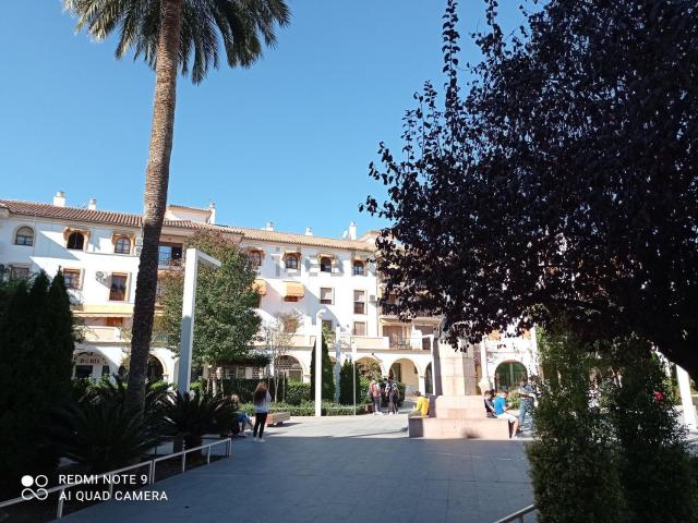 Local, Antequera