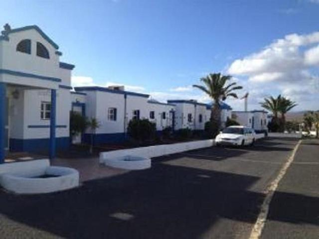 Local, Antigua