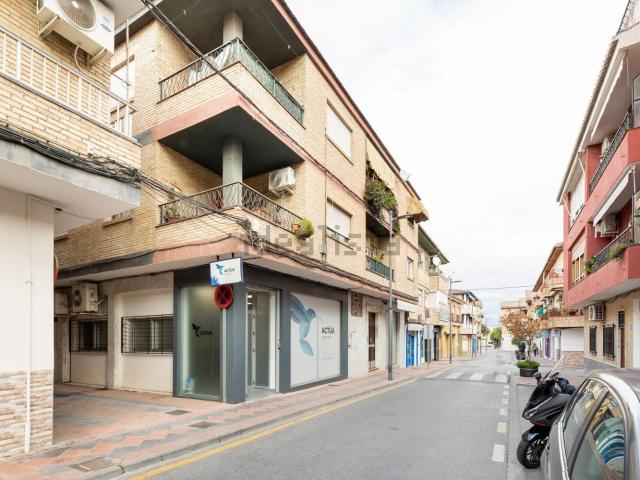 Local, Armilla