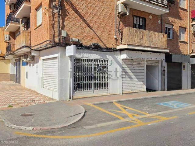 Local, Armilla