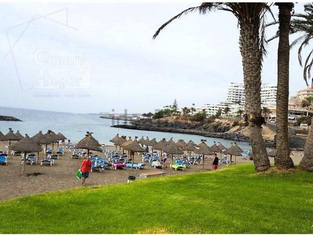 Local, Arona
