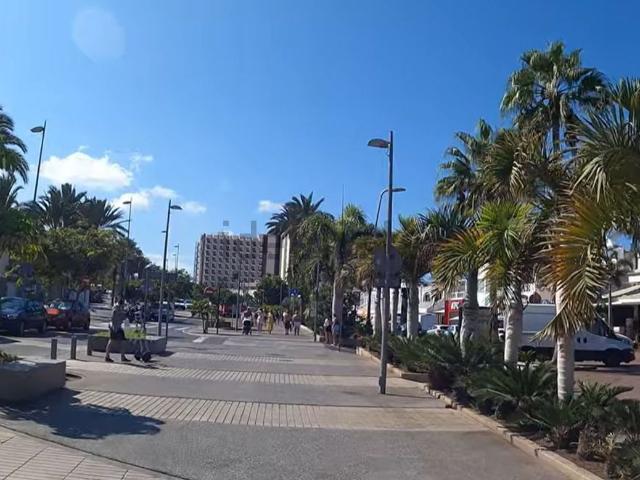 Local, Arona