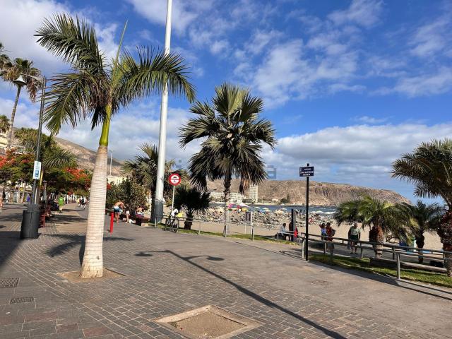 Local, Arona