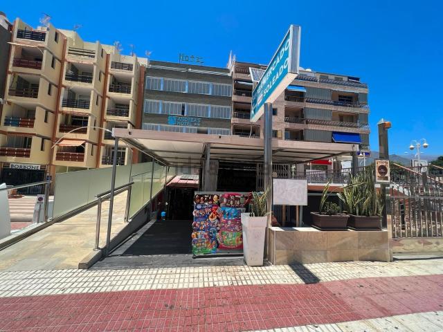 Local, Arona