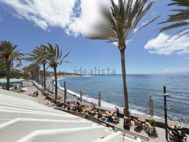 Local, Arona