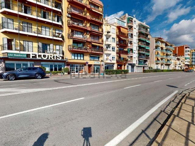 Local, Arenys de Mar