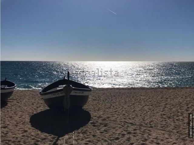 Local, Arenys de Mar