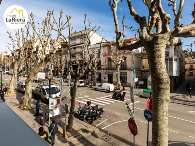 Local, Arenys de Mar