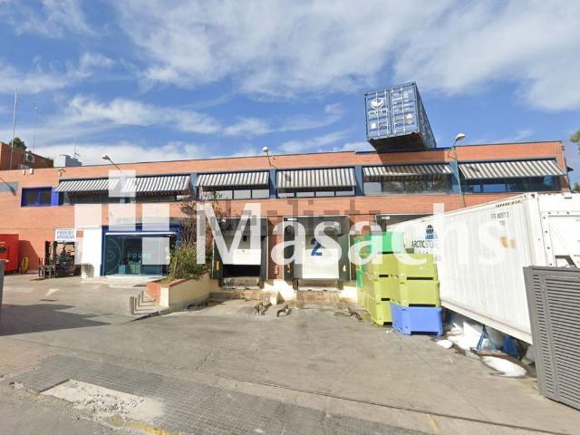 Local, Arenys de Munt