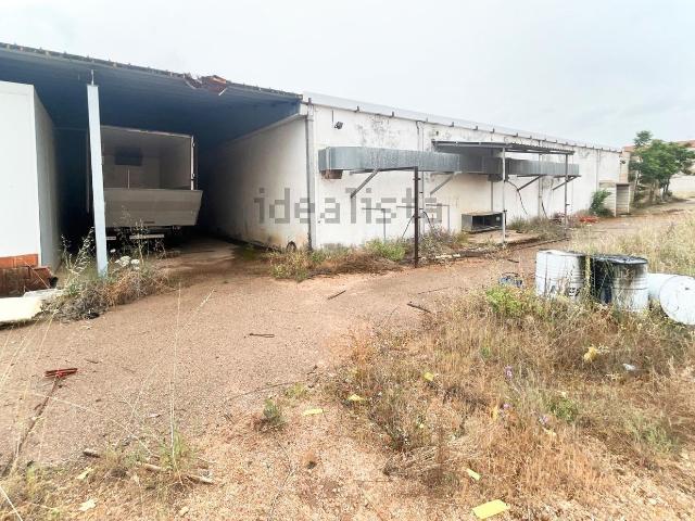Local, Argamasilla de Calatrava