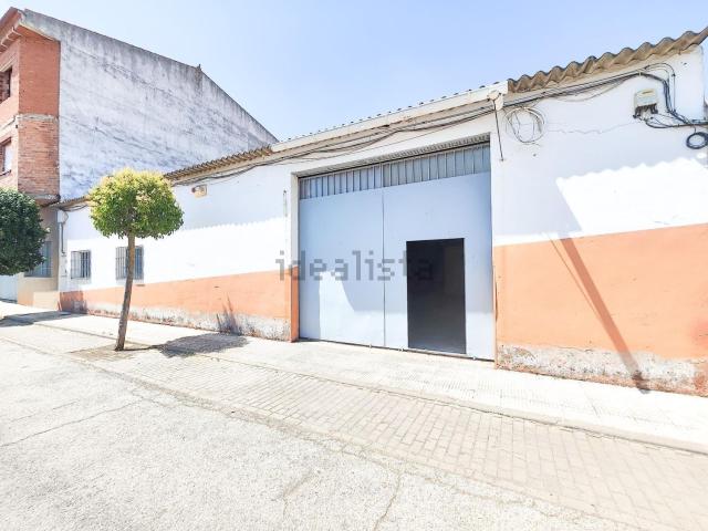Local, Argamasilla de Calatrava