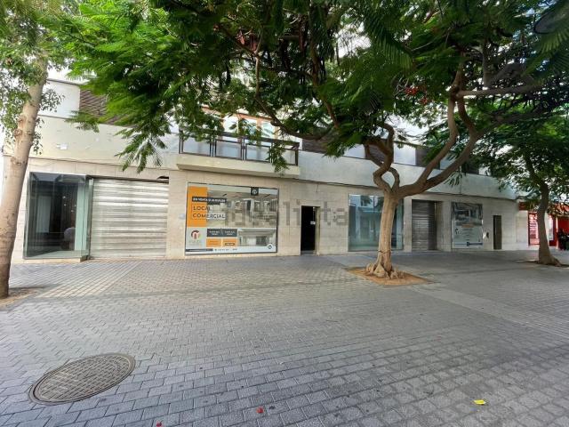 Local, Arrecife