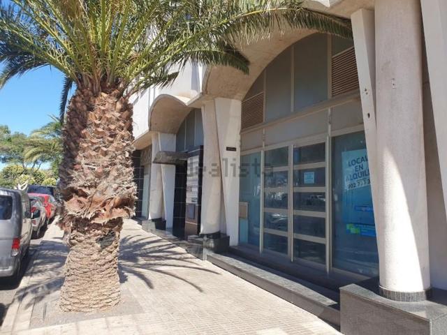 Local, Arrecife