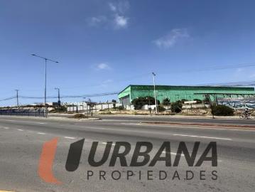 Local arriendo amplia bodega sector la cantera, coquimbo | 3 espacios por clf 220.00 en Coquimbo