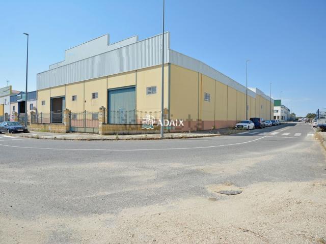 Local, Arroyo de la Luz