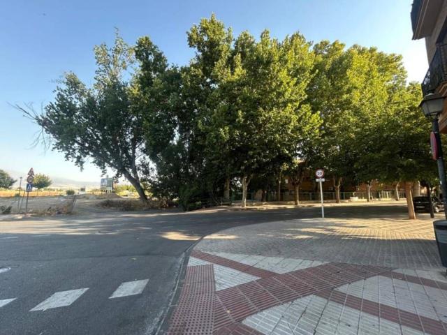 Local, Atarfe