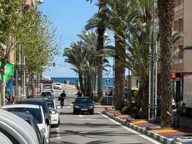 Local, Avenida Habaneras Curva de Palangre, Torrevieja