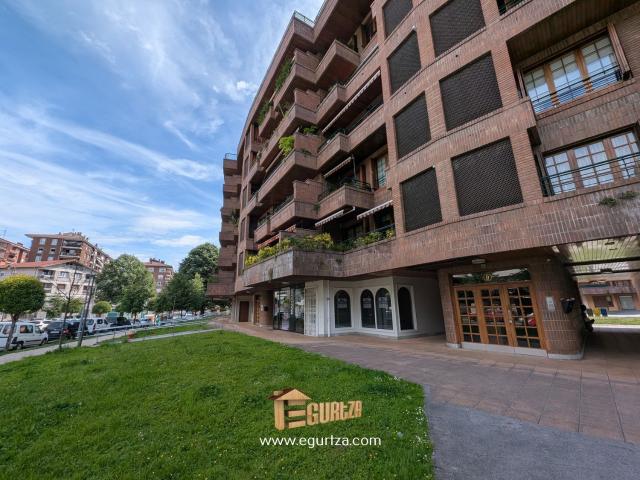 Local, Azpeitia