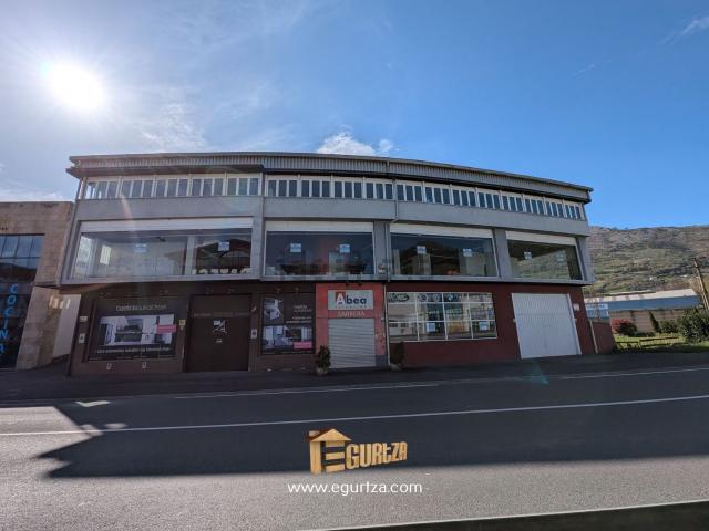 Local, Azpeitia