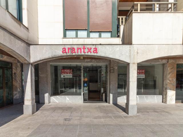 Local, Azpeitia
