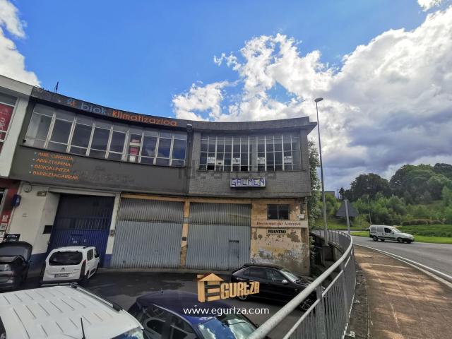 Local, Azpeitia