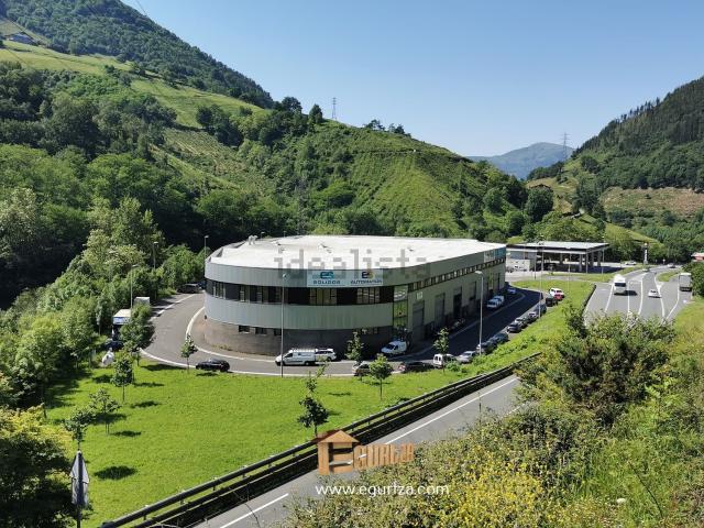 Local, Azpeitia