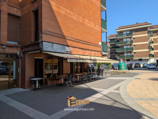 Local, Azpeitia