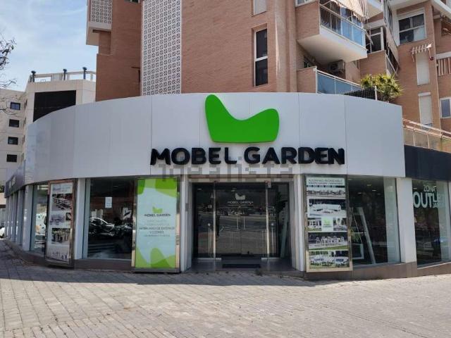 Local, Babel, Alicante / Alacant