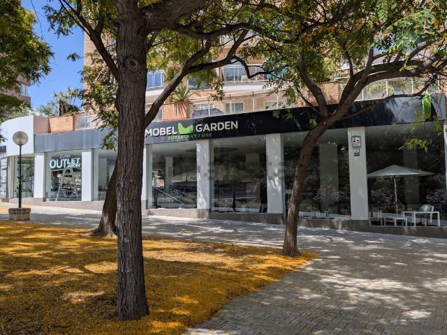 Local, Babel, Alicante / Alacant