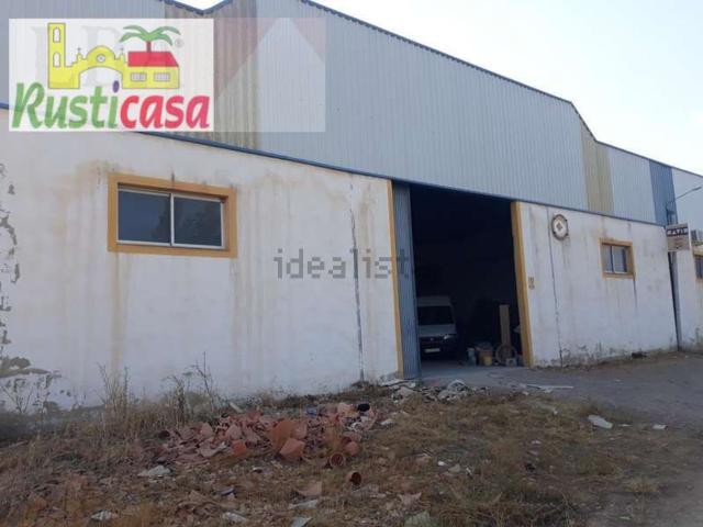 Local, Bailén