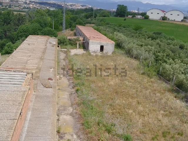 Local, Balaguer