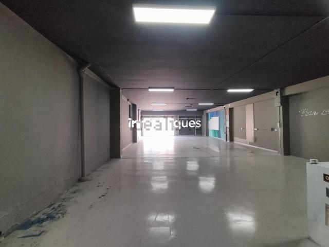 Local, Balaguer