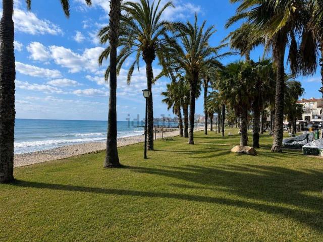 Local, Balneario, Oropesa del Mar