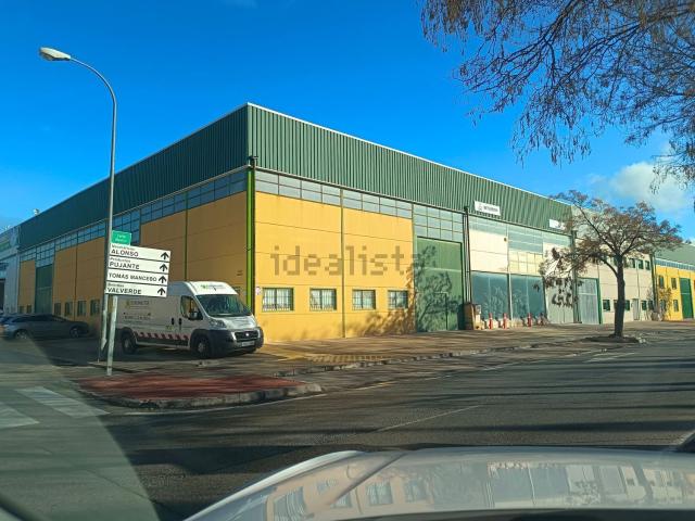 Local, Baza