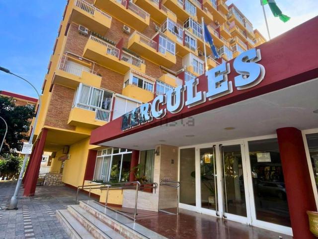 Local, Benalmádena