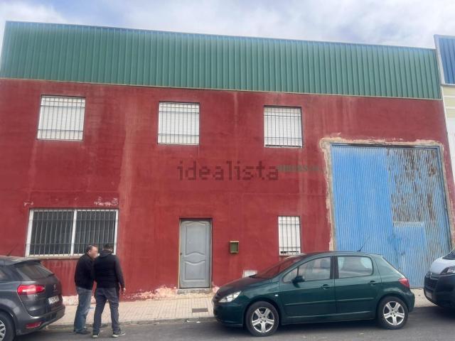 Local, Benalua de Guadix