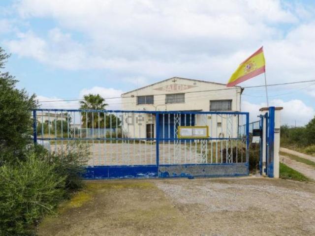 Local, Benicarló