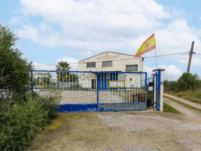 Local, Benicarló