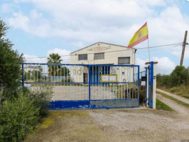 Local, Benicarló