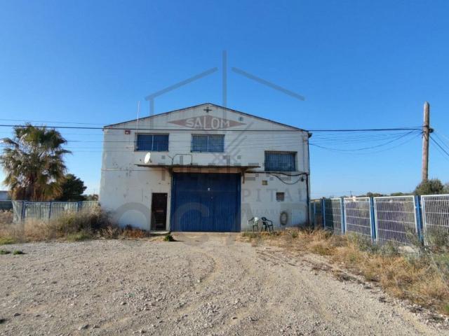 Local, Benicarló