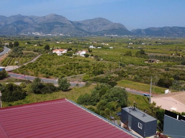 Local, Benidoleig