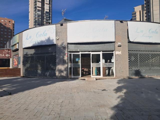 Local, Benidorm