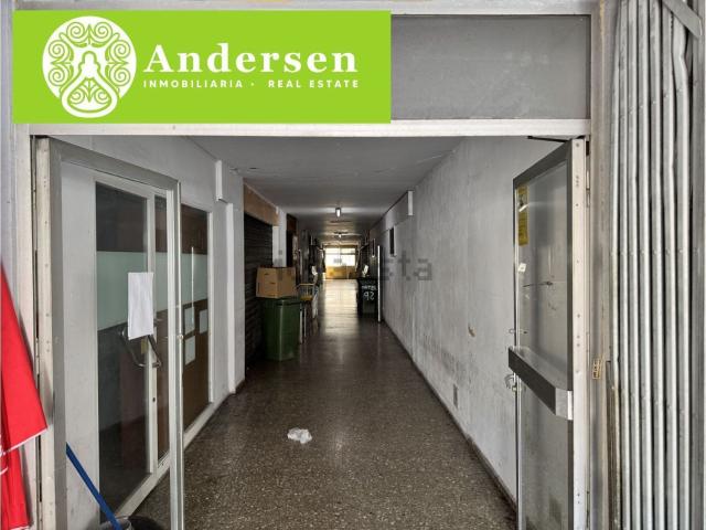 Local, Benidorm