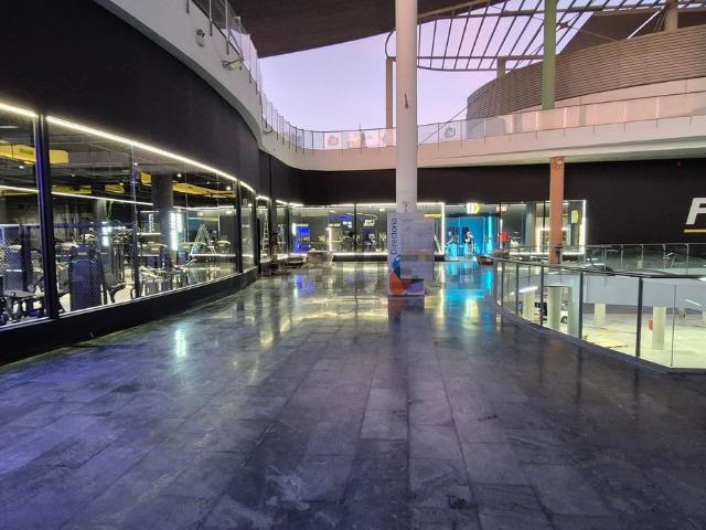 Local, Benidorm