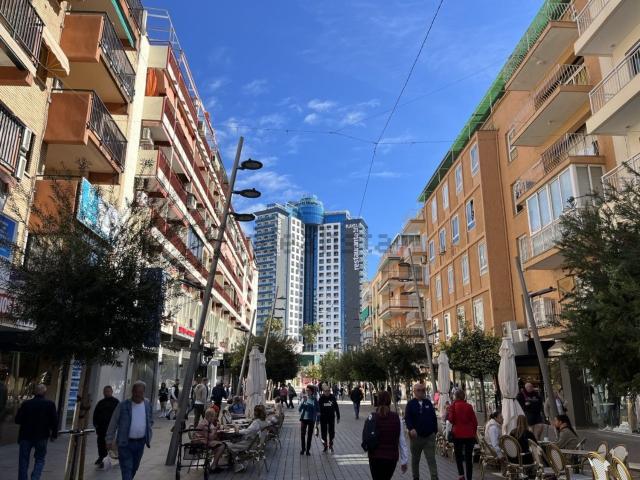 Local, Benidorm